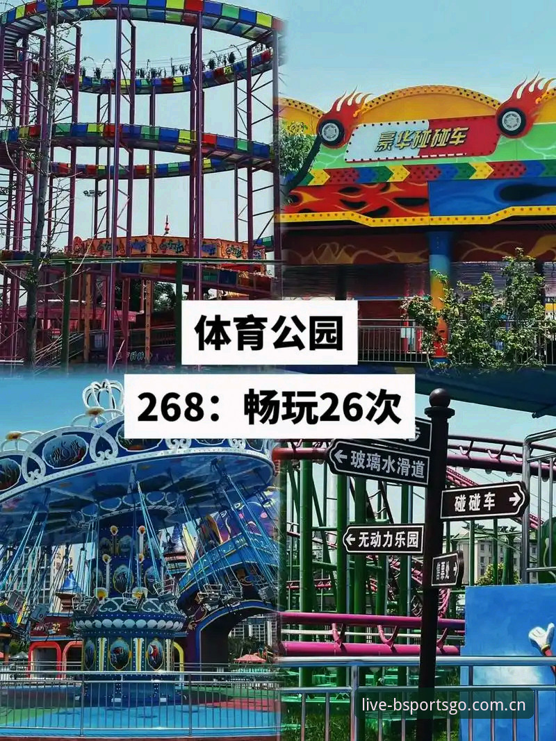 B体育平台手机客户端使用指南：从下载到畅玩的完整教程